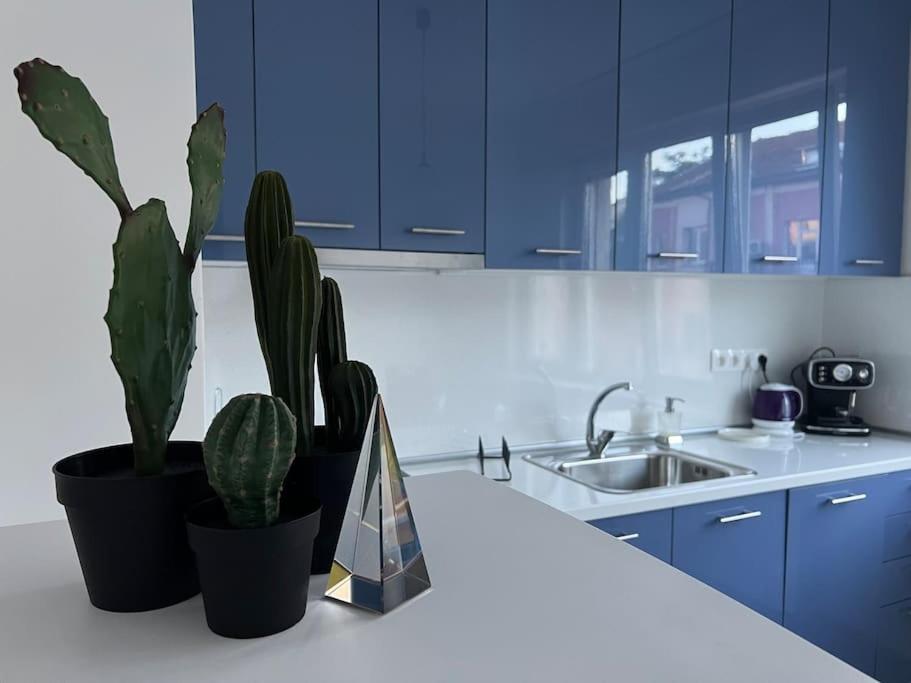Cool 1-br Apt, Metro & Central Bus & тrain Station *